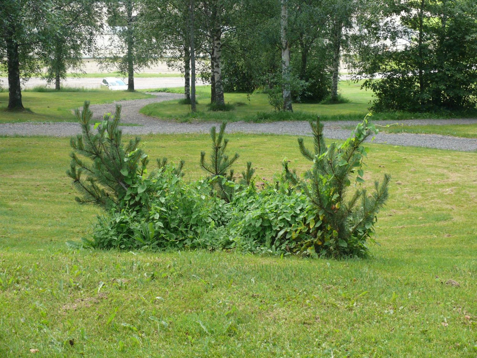 Huoneistohotelli DomusVirdois Exteriör bild